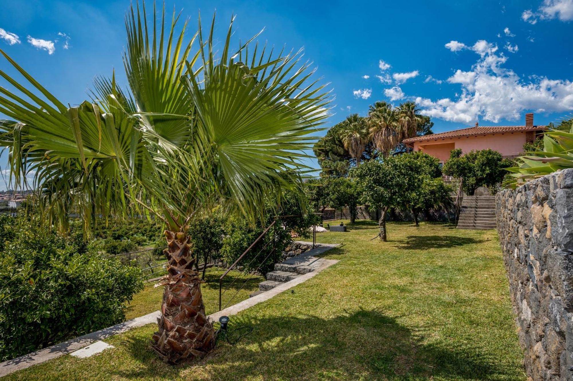 Agrume Country House Santa Venerina Exterior photo